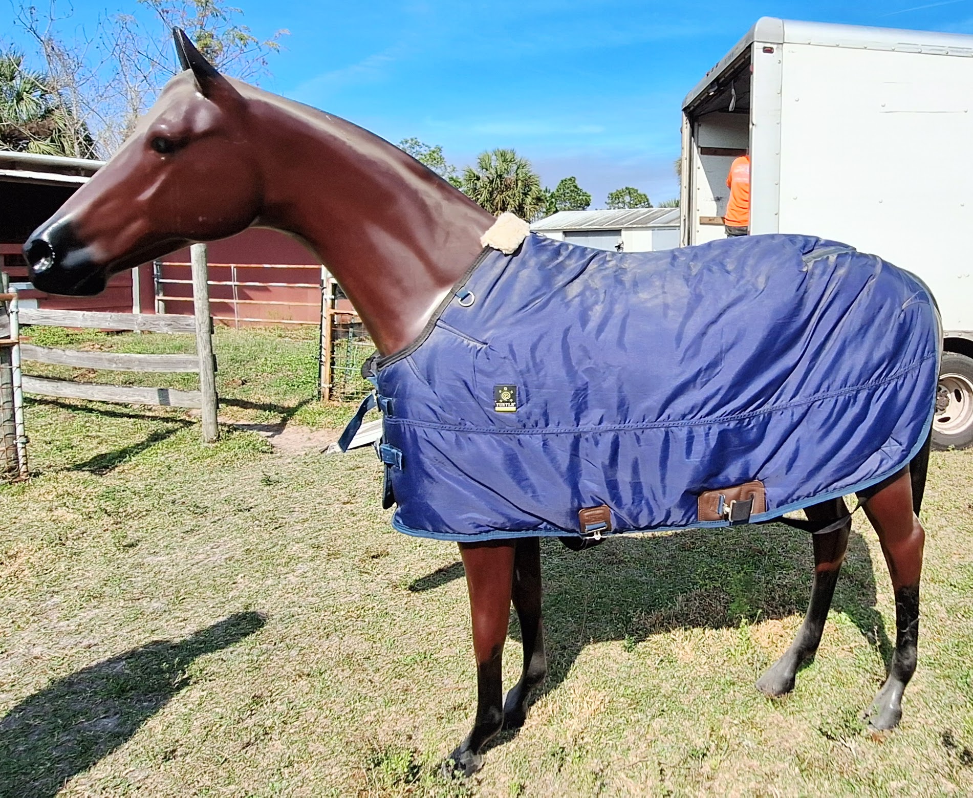 Life Size Fiberglass Thoroughbred Horse  in Stock