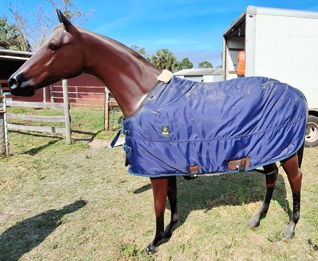 Life Size Fiberglass Thoroughbred Horse  in Stock
