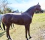 Life Size Fiberglass Thoroughbred Horse  in Stock