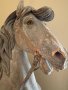 Antique  Dentzel Stander Carousel Horse ,Circa 1890, from Atlantic City, NJ