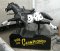 Appaloosa Champion Horse Kiddie Ride, Custom Order