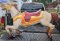 Allan Herschell Carousel Horse Jumper, Aluminum, Middle row