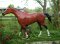 Walking or Running Race Horse, Life Size American Pharoah
