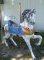this horse is in stock