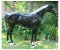 Life Size Fiberglass Thoroughbred Horse Custom Painted