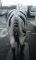 Life Size Fiberglass Zebra