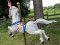 Carousel Circus Horse  Contemporary Wood Carving
