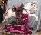 My Pretty Pony, Unicorn Pony, Coin Operated ...almost Real