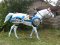 Singapore Turf Club Horses