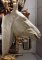 Life Size Horse Head on Plaque 38" tall [ clone ]
