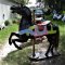 Black Dentzel Carousel Prancer