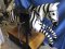 Coin Operated Zebra Kiddie Ride
