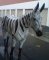 Life Size Fiberglass Zebra