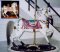 Dentzel Stander (Arabian Stallion Horse)
