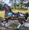Pinto Carousel Horse Full size Stander, Fiberglass