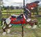 Herschell Stargazer Carousel Horse, Pinto