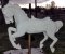 Spillman Carousel Horse Tucked Head, 2nd row, [ clone ]