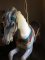 Spillman Engineering Flowered Carousel Jumper Horse