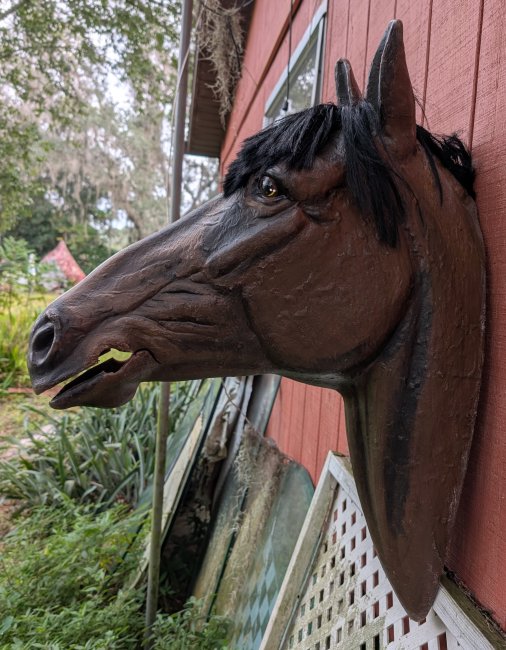 Horse Head  Life Size ,Bay with Mane, ready to ship