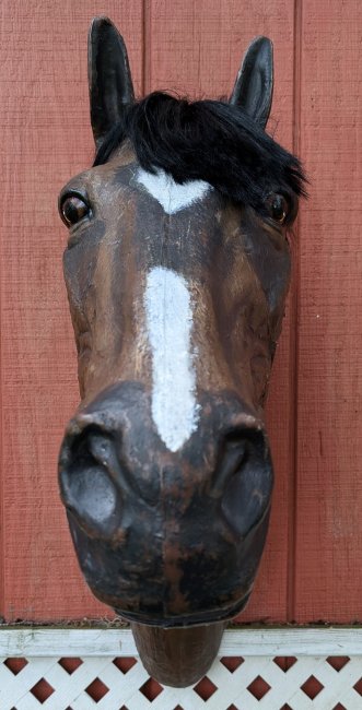 Horse Head  Life Size ,Bay with Mane, ready to ship