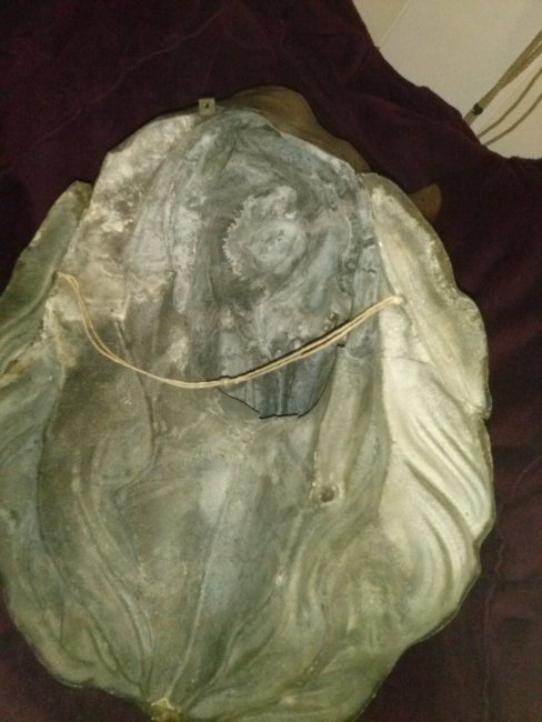 Back view