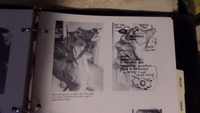 Carrousel Horses..a photo-reference by Marge Swenson  A must for every carver