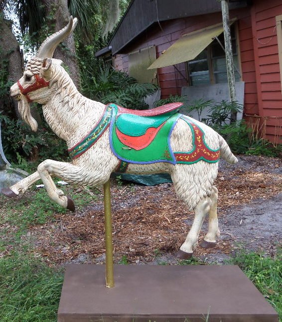 Carousel Goat Reproduction