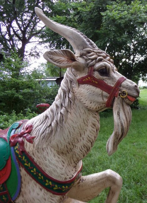 Carousel Goat Reproduction