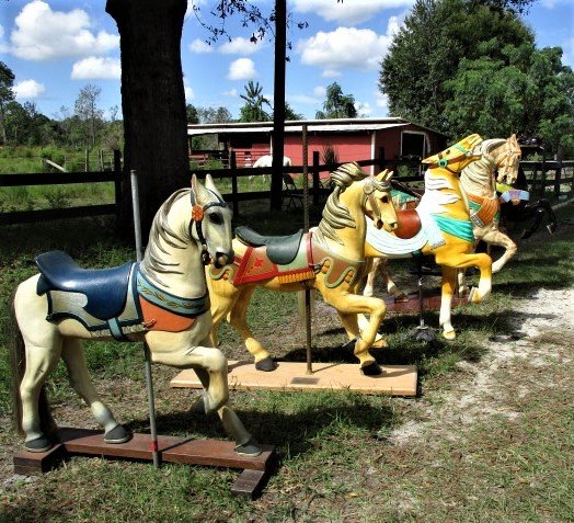 Stein & Goldstein 2nd Row Stander..Palomino