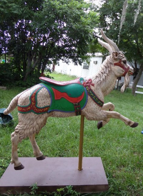 Carousel Goat Reproduction