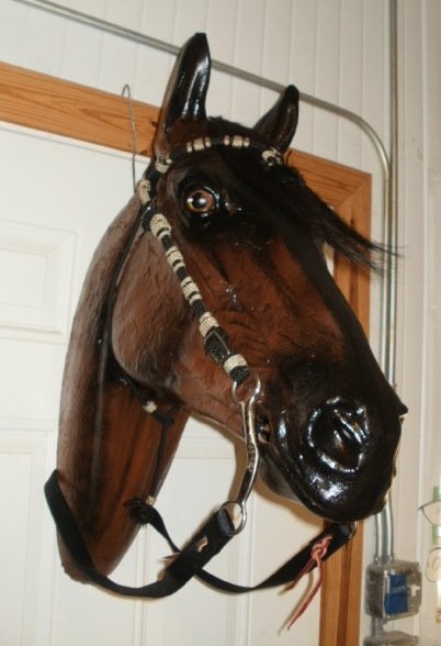 Horse Head  Life Size ,Custom Painted
