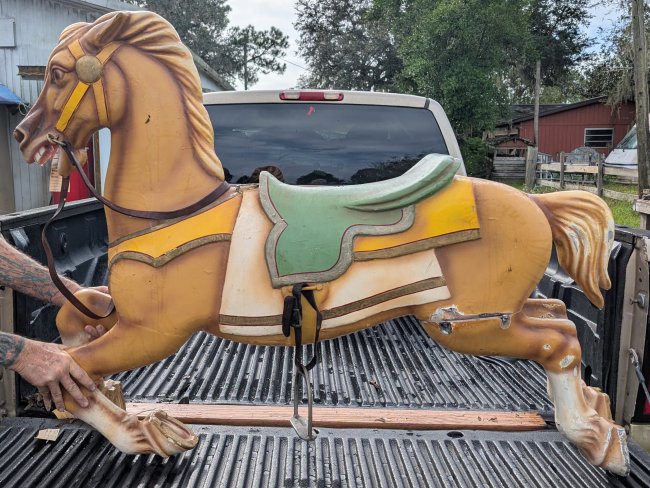 Allan Herschell Carousel Horse Jumper, half and half , inner row