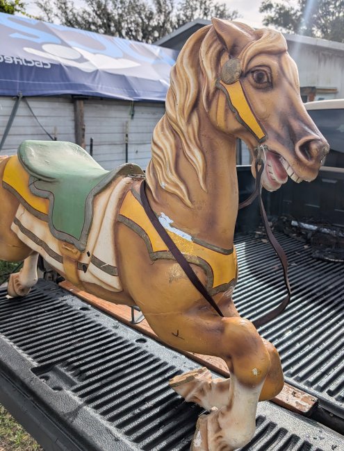 Allan Herschell Carousel Horse Jumper, half and half , inner row