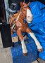 Champion Horse Kiddie Ride, Chestnut Pinto with sound box