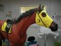 Walking or Running Race Horse, Life Size American Pharoah