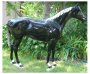 Life Size Fiberglass Thoroughbred Horse Custom Painted