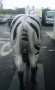 Life Size Fiberglass Zebra