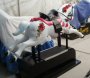 Custom Flowered Coin Operated  kiddie Ride Horse