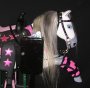 My Pretty Pony, Unicorn Pony, Coin Operated ...almost Real