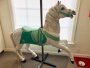 Antique Dentzel Prancer Mare Wood
