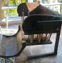 Eli Ferris Wheel Seat , restored in stained Wood B