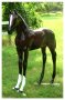 Life size Foal [ clone ]