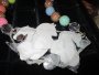 3 Carousel Horsehead & Bead Necklace