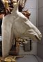 Life Size Horse Head on Plaque 38" tall [ clone ]
