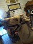 Allan Herschell Half & Half  Jumper