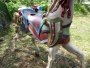 Flowered PTC Stander Stargazer Gold Mane & Tail, Fiberglass