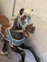 Looff Pug Nose Prancer Carousel Horse, 1880s