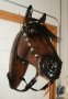 Horse Head  Life Size ,Custom Painted