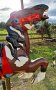 Herschell Stargazer Carousel Horse, Pinto