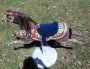 Vintage Rocking Horse in Arabian Costume